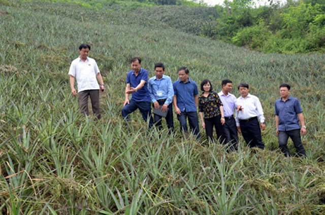 Ông Phí Văn Dương, Chủ tịch Liên minh HTX tỉnh Điện Biên: Để các HTX trên địa bàn huyện Mường Chà phát triển, rất cần sự chung tay hỗ trợ của các cấp chính quyền và Liên minh HTX Việt Nam.