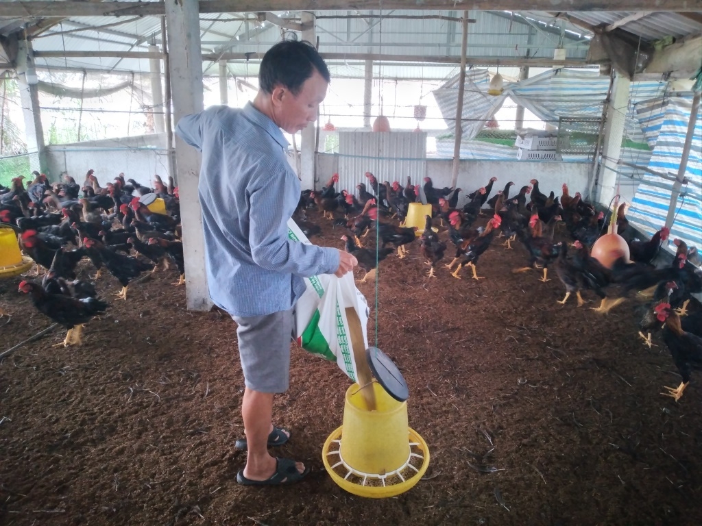 Bà con dân tộc thiểu số ở Phú Giáo vươn lên làm giàu nhờ được tập huấn, học nghề chăn nuôi gia cầm.