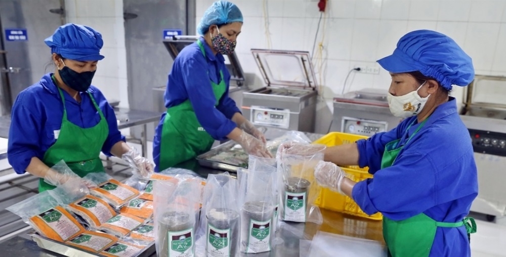 Khu vực đóng gói thực phẩm của HTX Hoàng Long.