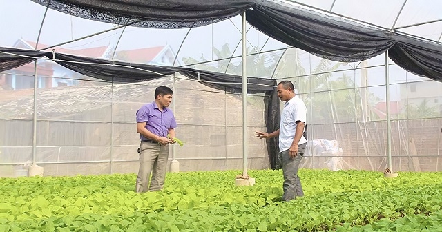 Mô hình sản xuất nông nghiệp trong nhà kính, nhà màng đang mang lại hiệu quả kinh tế cao cho bà con nông dân Hiệp Hòa