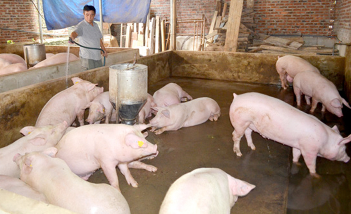 Có kiến thức sau học nghề giúp nhiều nông dân tự tin xây dựng mô hình sản xuất riêng, hiệu quả (Ảnh TL).