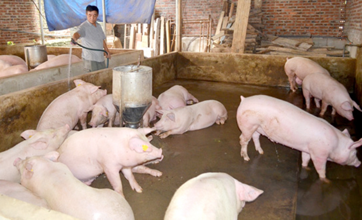 Có kiến thức sau học nghề giúp nhiều nông dân tự tin xây dựng mô hình sản xuất riêng, hiệu quả (Ảnh TL).