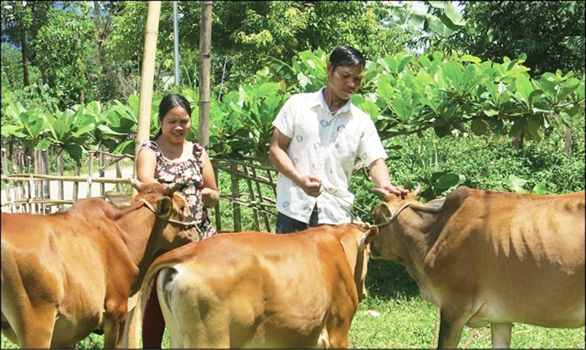 Người dân là chủ thể trong xây dựng nông thôn mới xã Canh Vinh (Ảnh TL).