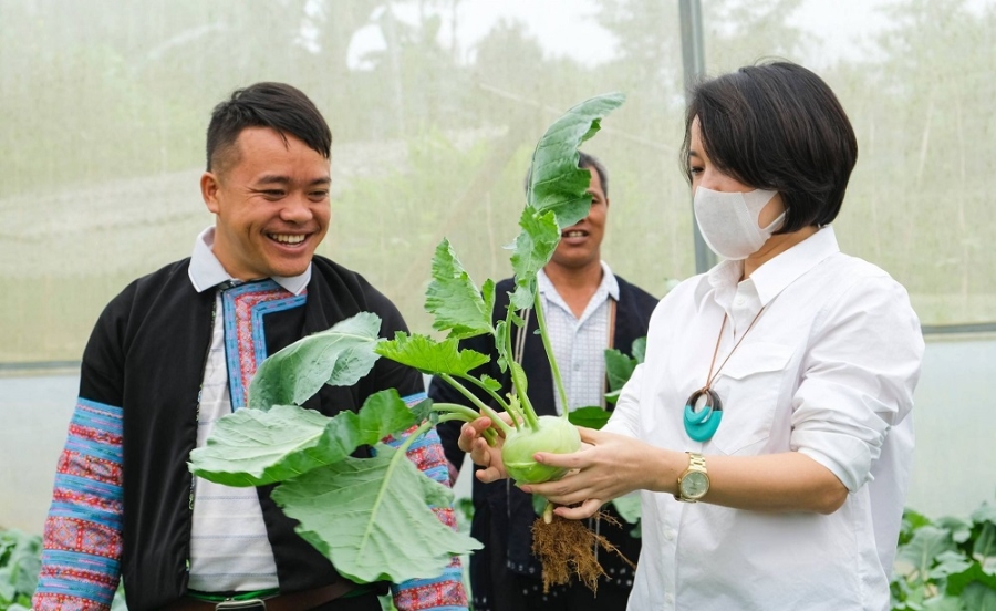 THT rau Bó Nhàng 2 là một trong những đơn vị điển hình về phát triển trồng rau an toàn của người Mông ở Vân Hồ.