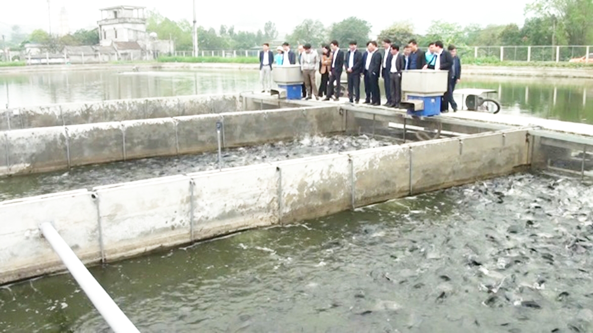 Hiệu quả sản xuất là điểm tựa xây dựng nông thôn mới kiểu mẫu ở Thanh Sơn (Ảnh TL).