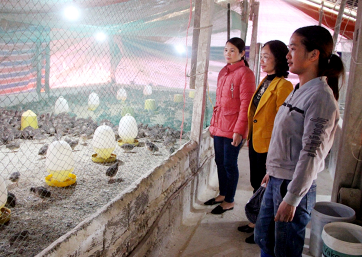 Phụ nữ dân tộc thiểu số ở Vị Xuyên đang ngày càng tự tin khởi nghiệp, xây dựng mô hình kinh tế hiệu quả.