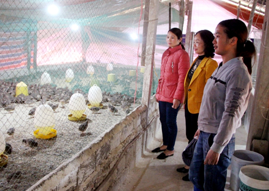 Phụ nữ dân tộc thiểu số ở Vị Xuyên đang ngày càng tự tin khởi nghiệp, xây dựng mô hình kinh tế hiệu quả.