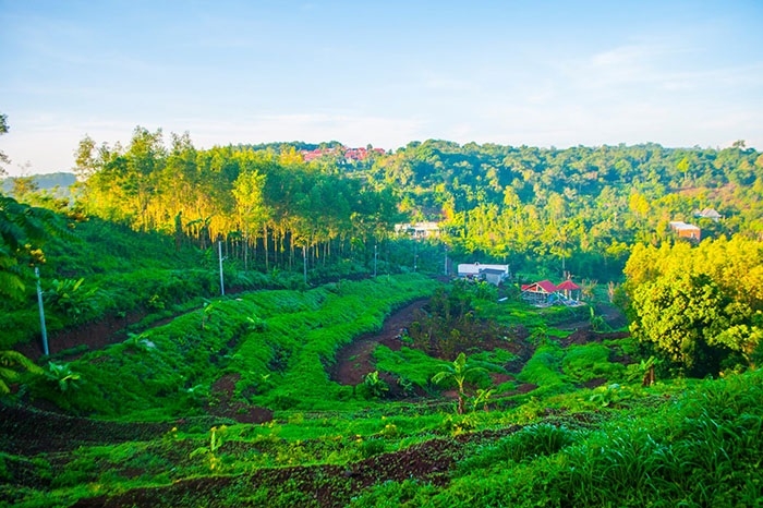 Những khu vườn sinh thái, những đồi cây xanh là điểm nhấn khi đến với Long Khánh hôm nay.