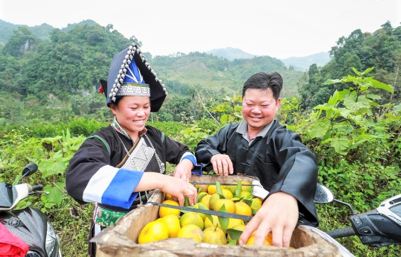 Phát triển các HTX gắn với nông nghiệp bền vững, liên kết chuỗi là hướng đi đúng đắn của huyện Mường La.