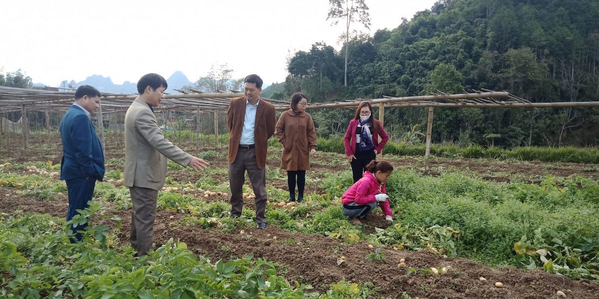 Huyện Na Rì chú trọng công tác xóa đói giảm nghèo bằng cách hỗ trợ phát triển các mô hình sản xuất hiệu quả cho đồng bào dân tộc thiểu số.