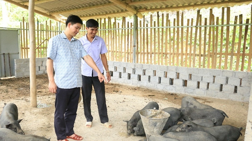 Các HTX mong muốn được tạo điều kiện để mở rộng quy mô sản xuất, chăn nuôi.