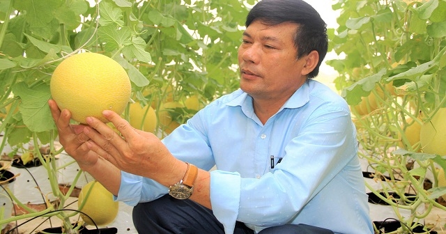 Tiếp sức về đích NTM, các mô hình nông nghiệp công nghệ lần lượt ra đời.