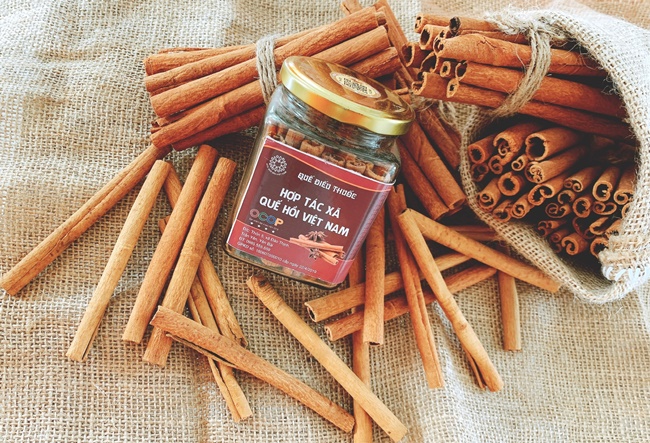 Quế là một trong những sản phẩm đặc trưng ở Trấn Yên và cũng là cây trồng chủ lực của địa phương.