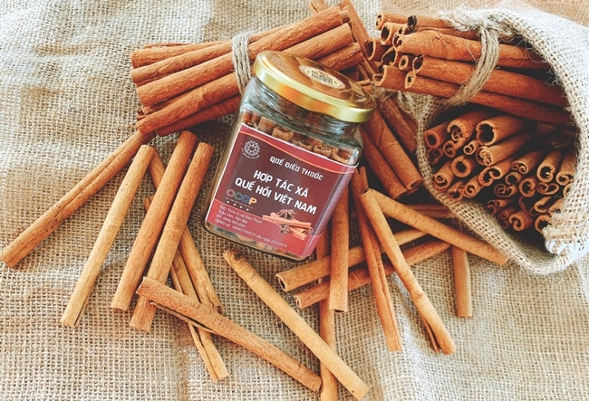 Quế là một trong những sản phẩm đặc trưng ở Trấn Yên và cũng là cây trồng chủ lực của địa phương.