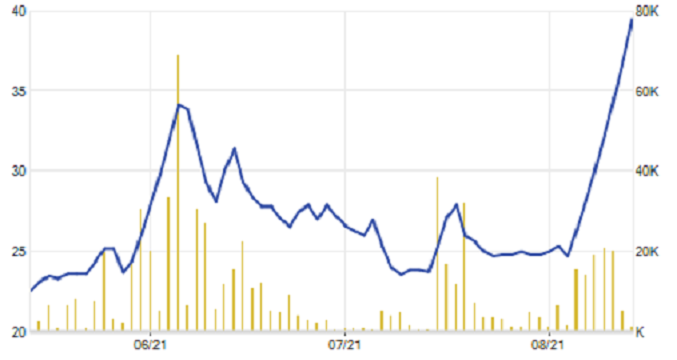 Cổ phiếu VMD tăng thẳng đứng trong những phiên gần đây.