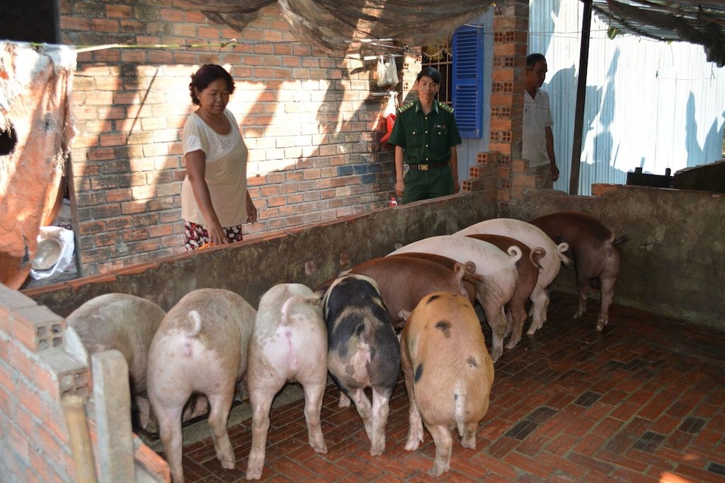 Đời sống bà con Khmer ở xã biên giới Hoà Hội (huyện Châu Thành) ngày càng nâng lên nhờ phát triển chăn nuôi.