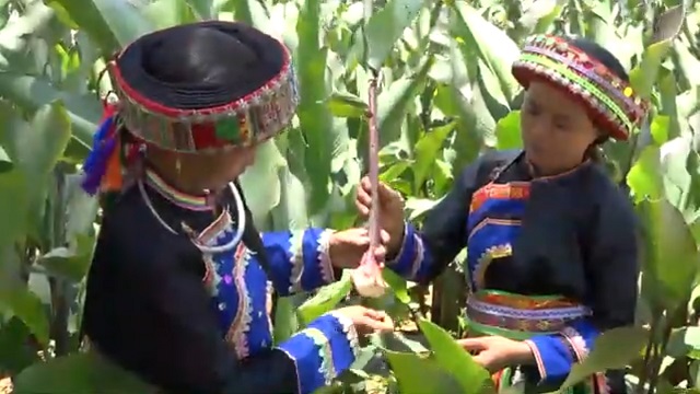 Việc ứng dụng nông nghiệp hữu cơ trong sản xuất giúp nâng cao giá trị sản phẩm