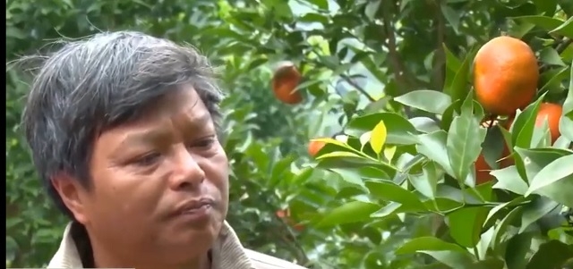 Nông nghiệp hữu cơ đã và đang được các HTX, nhà sản xuất và người tiêu dùng đặc biệt quan tâm