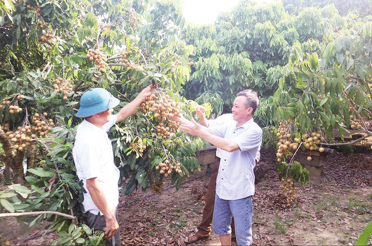 Đời sống của người dân trên địa bàn huyện được cải thiện cả về vật chất và tinh thần.