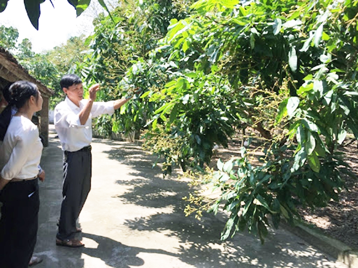 Hiệu quả chuyển đổi sản xuất nông nghiệp theo hướng hàng hóa là bước đệm giảm nghèo ở Lục Nam.