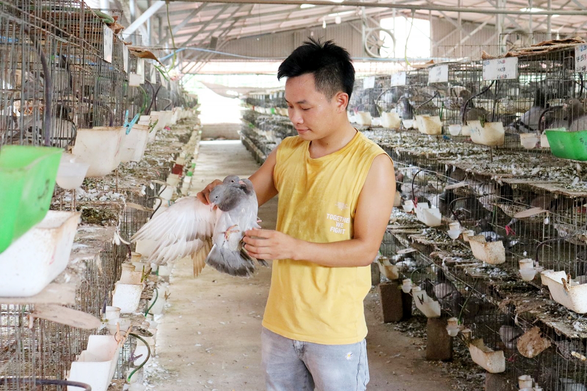 Huyện sẽ tiếp tục phát huy hiệu quả sản xuất để nâng cao thu nhập cho người dân, đặc biệt là đồng bào dân tộc thiểu số.