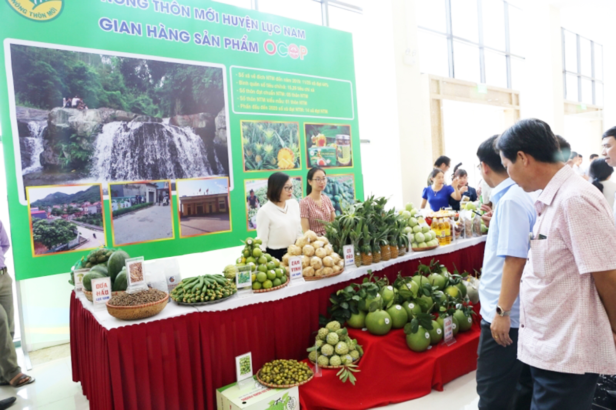 Các HTX có vai trò quan trọng trong thúc đẩy các sản phẩm nông sản chủ lực trên địa bàn huyện.
