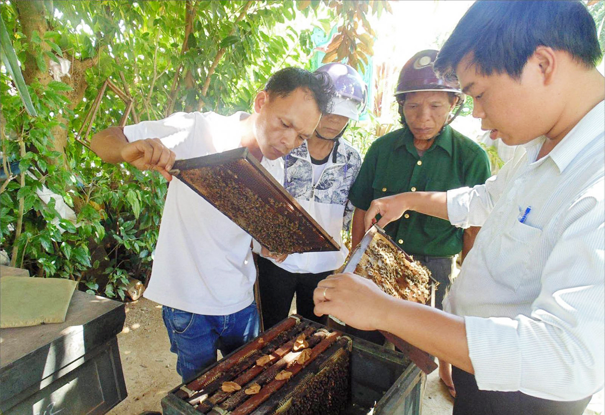Công tác dạy nghề sẽ được huyện gắn với tạo việc làm, trong đó có sự tham gia của HTX, doanh nghiệp (Ảnh TL).