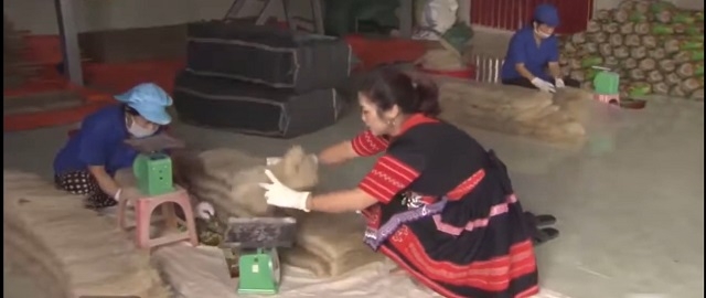 HTX Tài Hoan luôn tiên phong trong xuất khẩu mặt hàng chủ lực của địa phương