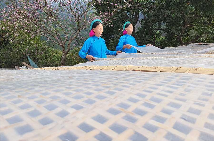 Bánh tráng được phơi khô, sau đó cắt thành sợi thành phẩm miến dong Bình Liêu.