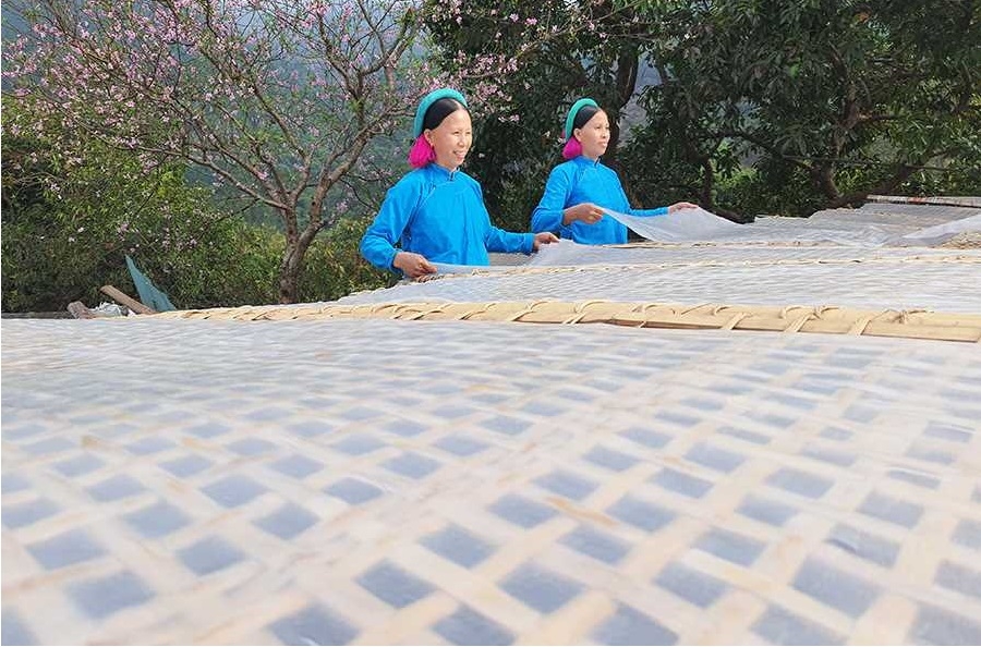 Bánh tráng được phơi khô, sau đó cắt thành sợi thành phẩm miến dong Bình Liêu.