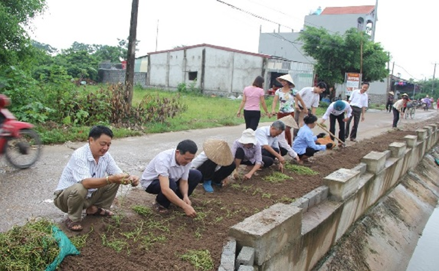 Người dân xã Mộc Bắc tích cực trồng hoa thay thế cỏ dại trên các tuyến đường của xã.