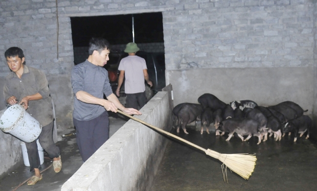 HTX Tuấn Dũng tạo công ăn việc làm cho hàng chục đồng bào người Mông.