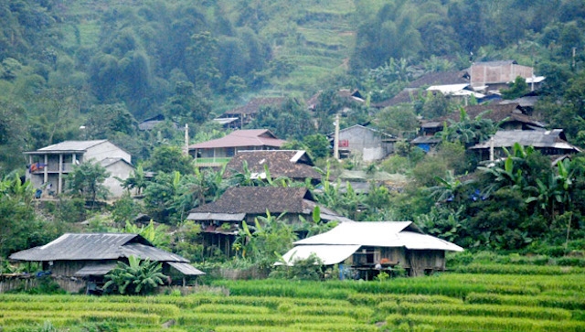 Từ khi thực hiện Đề án tái cơ cấu nông nghiệp, bộ mặt nông thôn ở Mèo Vạc đã khởi sắc.