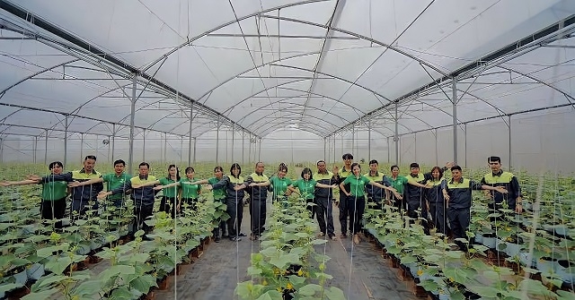 Yên Dũng tập trung sản xuất nông nghiệp hàng hóa ứng dụng công nghệ cao.