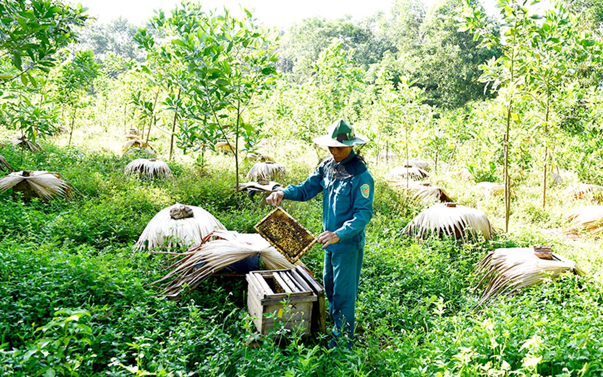 Huyện Sơn Dương sẽ tiếp tục nâng cao vai trò của HTX để làm điểm tựa sản xuất cho người dân, đặc biệt là người dân tộc thiểu số.