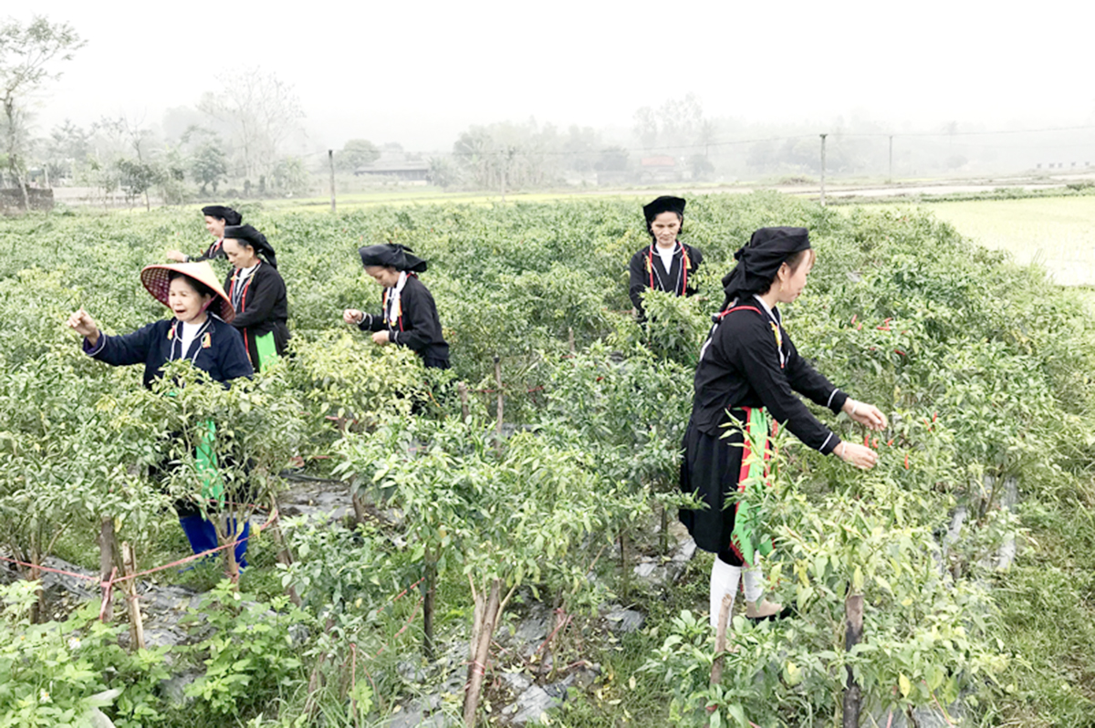 Những chính sách giảm nghèo cho người dân, đặc biệt là vùng đồng bào dân tộc thiểu số sẽ được huyện đẩy mạnh.