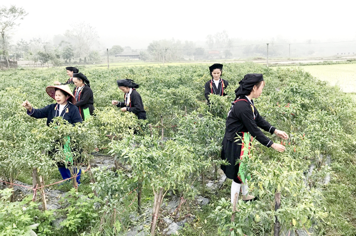 Những chính sách giảm nghèo cho người dân, đặc biệt là vùng đồng bào dân tộc thiểu số sẽ được huyện đẩy mạnh.