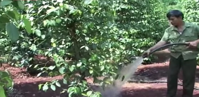 Tham gia vào HTX đã mang lại nhiều lợi ích cho thành viên trong việc nâng cao đời sống, ổn định sinh hoạt tôn giáo.