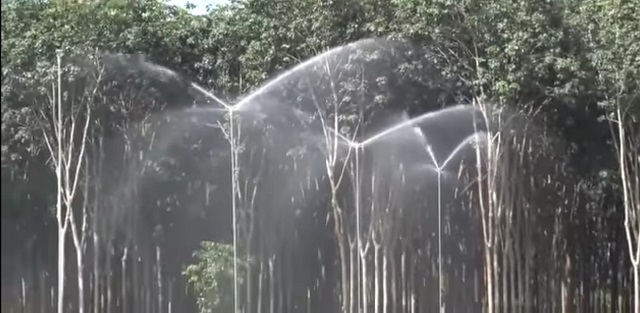 Các HTX đã và đang đẩy mạnh KHCN vào sản xuất nhằm hướng đến một nền nông nghiệp bền vững.