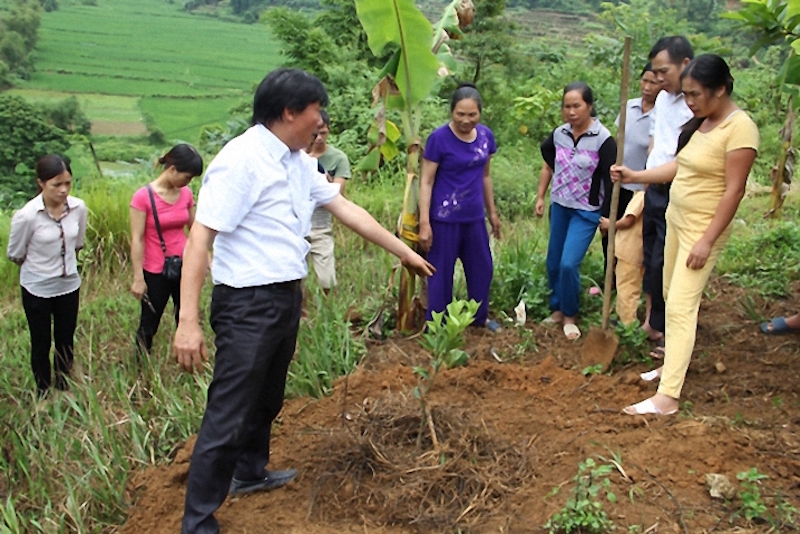 Hỗ trợ, tập huấn kiến thức cho đồng bào dân tộc thiểu số canh tác sản xuất.