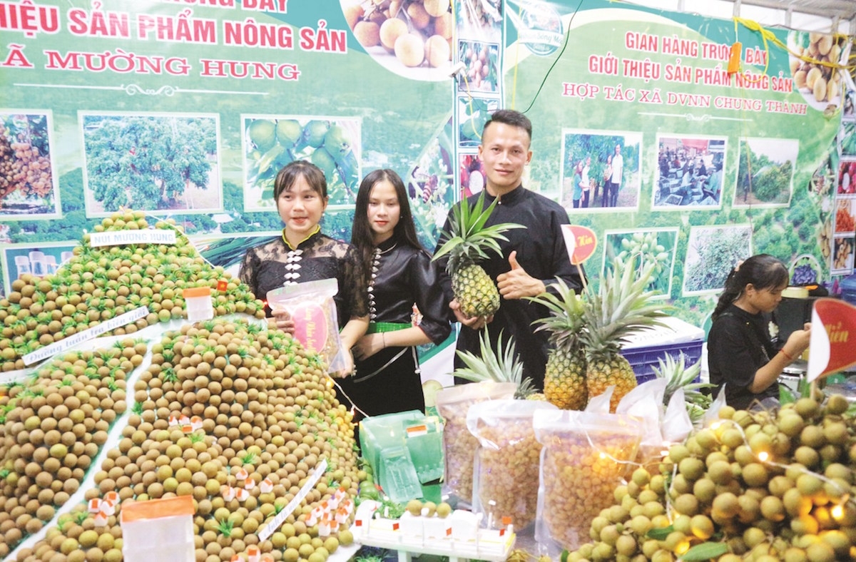 Liên kết sản xuất để đưa nông sản Sông Mã tiếp cận thị trường trong và ngoài nước.