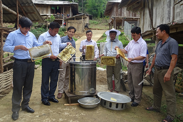 Mô hình nuôi ong mật nhằm phát triển kinh tế hộ gia đình gắn với vườn rừng và bảo tồn đa dạng sinh học ở huyện Sốp Cộp tại HTX Nam Phượng được sự quan tâm, hỗ trợ tích cực từ các cấp chính quyền.