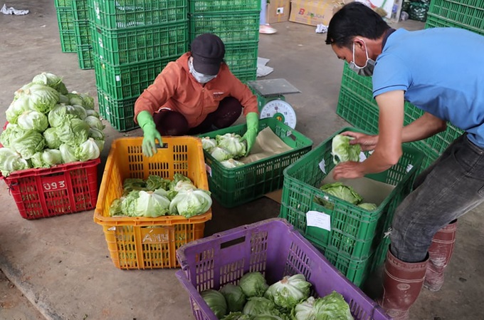 Kết nối cung cầu giúp mở rộng đầu ra nông sản cho HTX và người dân.