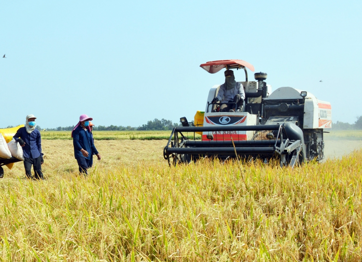 HTX chủ động đào tạo nghề, chuyển giao kỹ thuật cho thành viên để xây dựng vùng nguyên liệu sạch (Ảnh TL).
