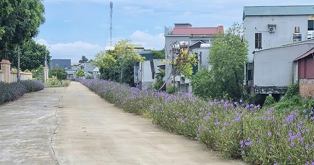 Nho Quan tăng tốc để về đich huyện nông thôn mới vào năm 2022