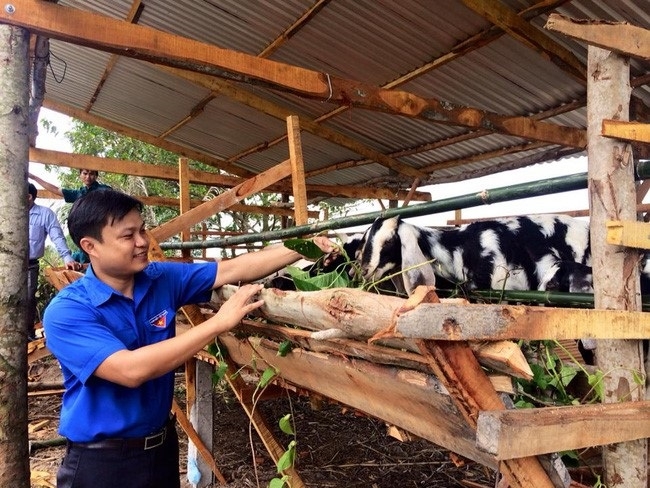 Đào tạo nghề là cách tạo việc làm hiệu quả cho thanh niên, lao động nông thôn.