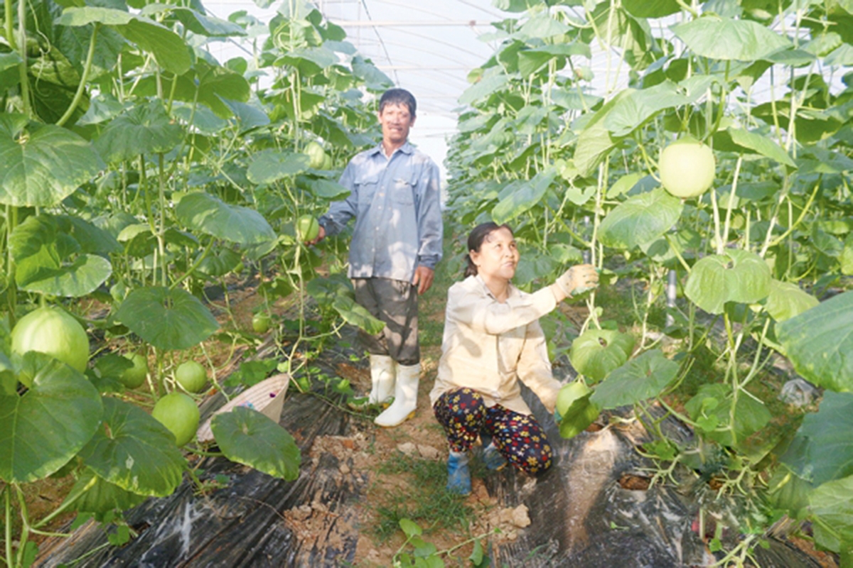 Công tác dạy nghề hiệu quả giúp nông dân Đông Sơn nâng cao trình độ, tự tin khởi nghiệp (Ảnh TL).