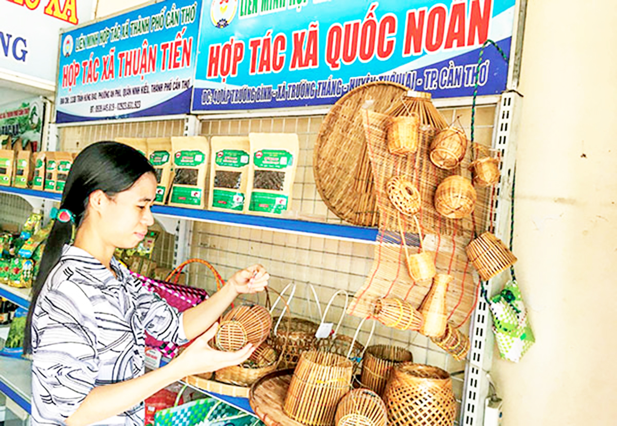 Sự đa dạng về mẫu mã, chất lượng sản phẩm vượt trội giúp HTX đứng vững trên thị trường.