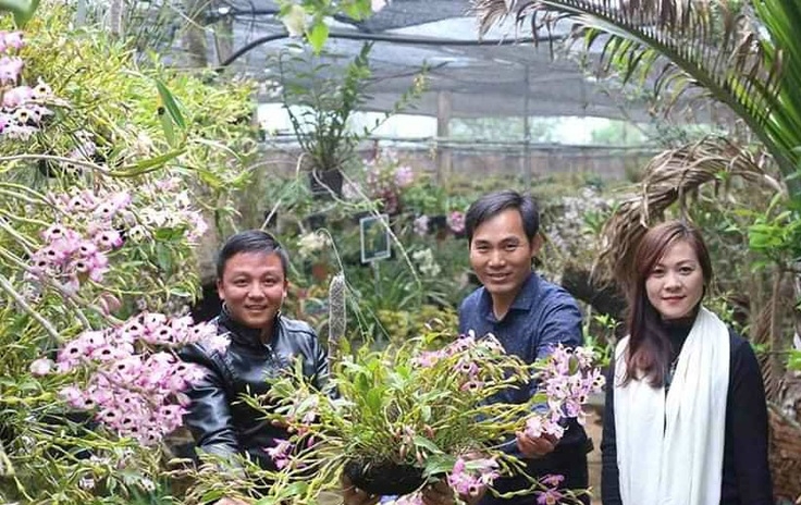 HTX Lộc Rừng là mô hình sản xuất hiệu quả tiêu biểu của Cao Bằng.