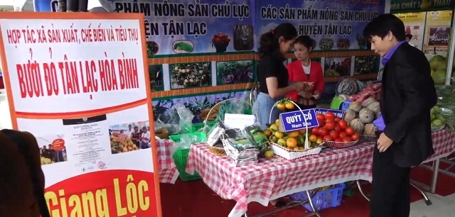 HTX với vai trò hạt nhân trong chuỗi khép kín từ khâu sản xuất đến tiêu thụ.